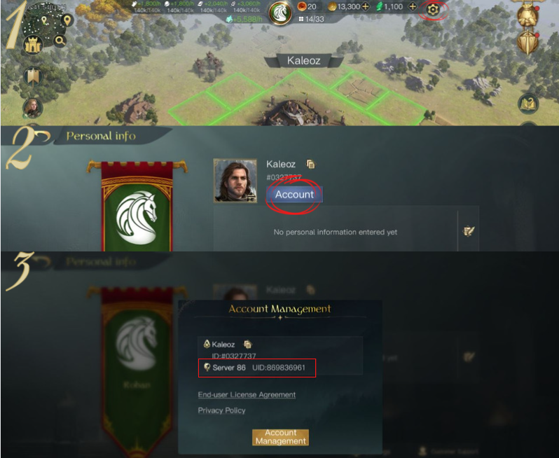 how to find LotR: Rise to War user id